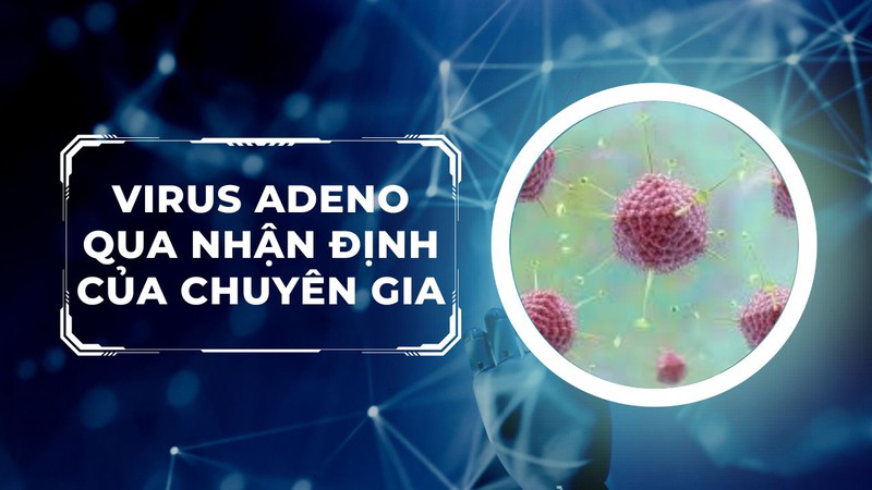 Song Tre News - Virus Adeno qua nhận định của chuyên gia