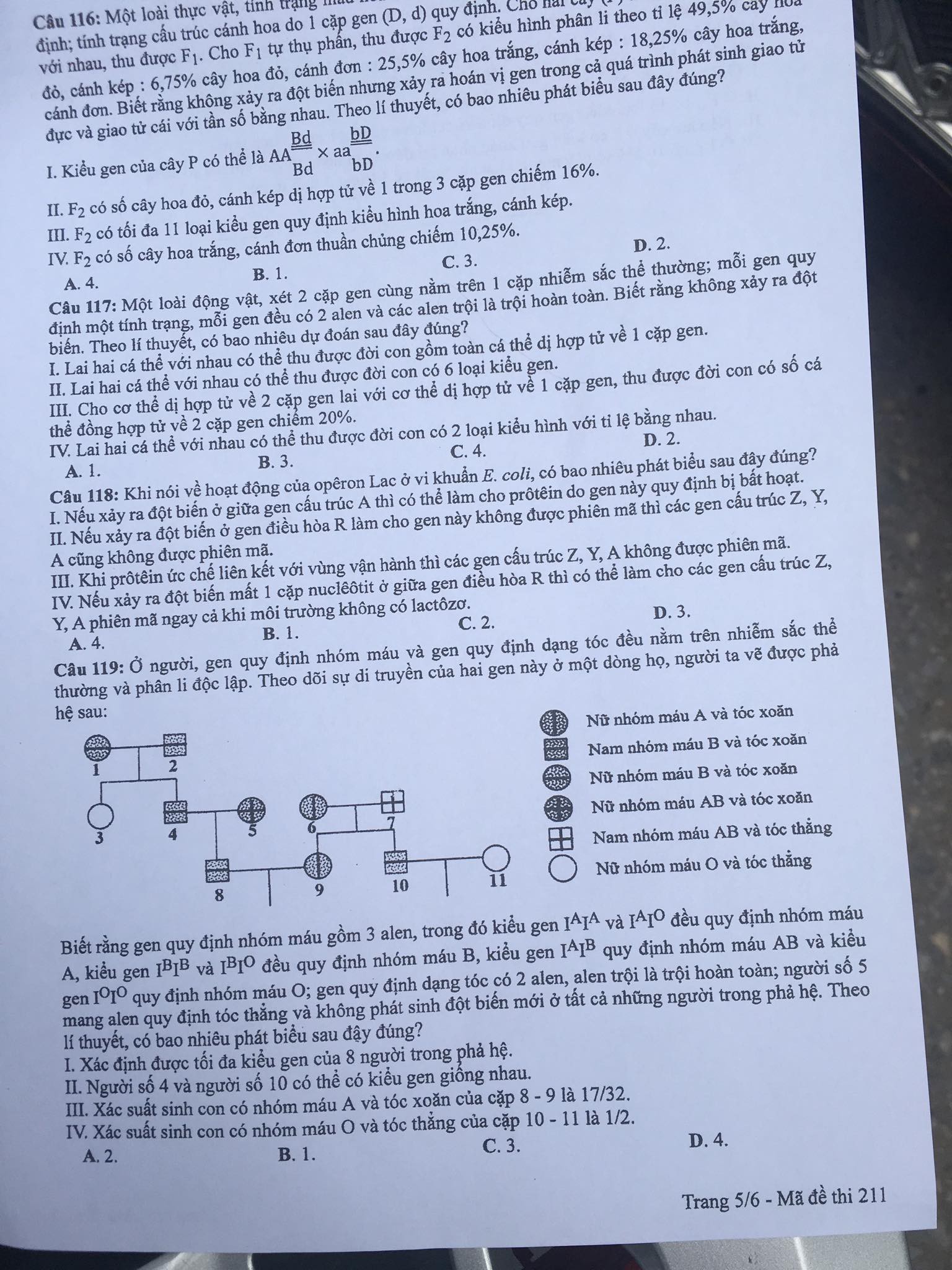 252d10595_8672276448493558038528n15299839406241640442177.jpg