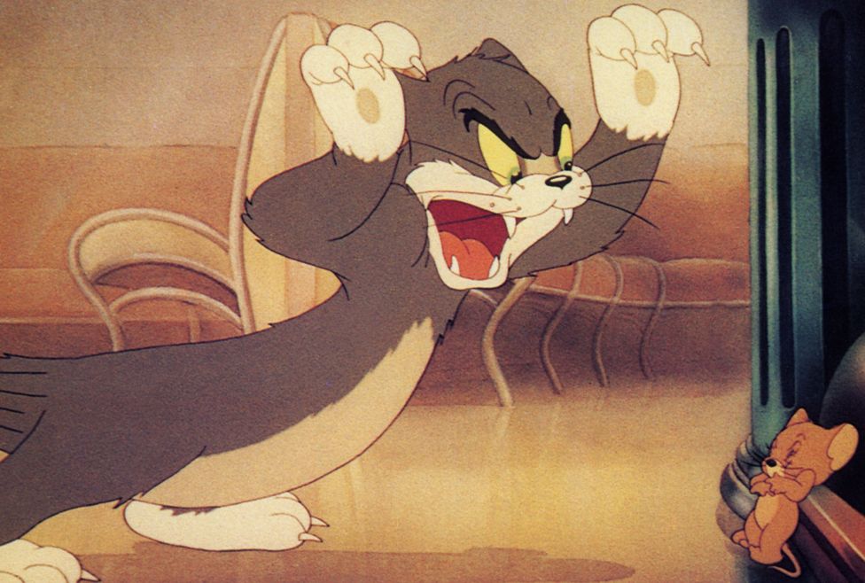 Song Tre News - Tom Và Jerry: 80 Năm Cuộc Chiến Mèo Và Chuột